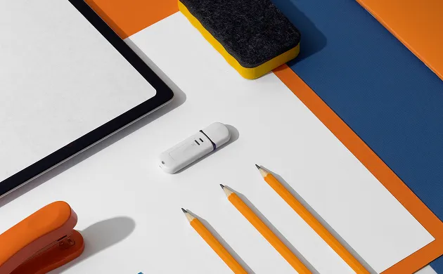 Custom visual identity design services creating brand logos, color palettes, and style guides