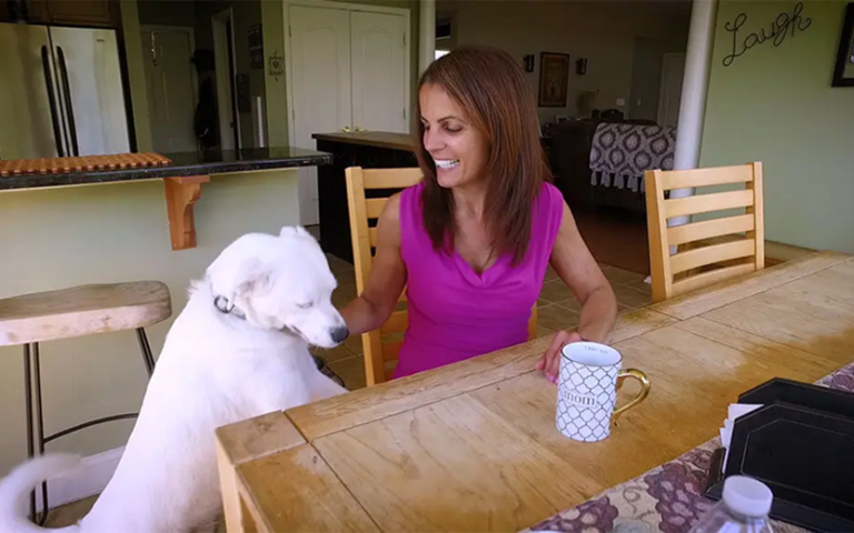 Pixeldust-Logo-2024 25