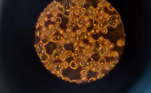 Engaging science and medical video production making research and healthcare topics accessible