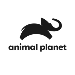 animal_planet_01 1